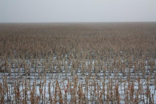 Property photo 64 - Kansas Land Auction - 960 Acres - 7 Farms in 3 Counties